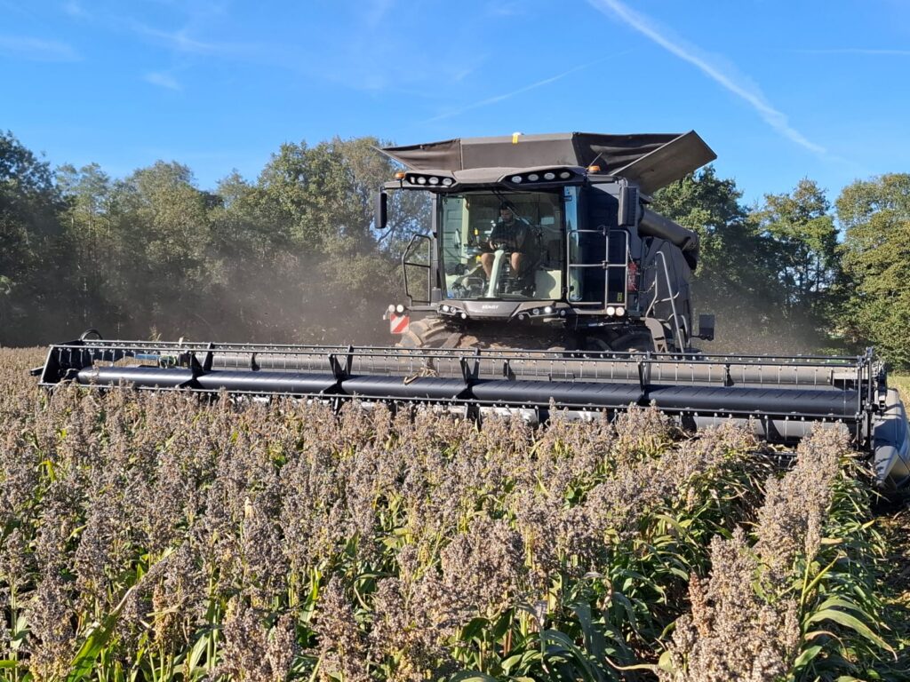 Moissonneuse-batteuse IDEAL en récolte dans un champs