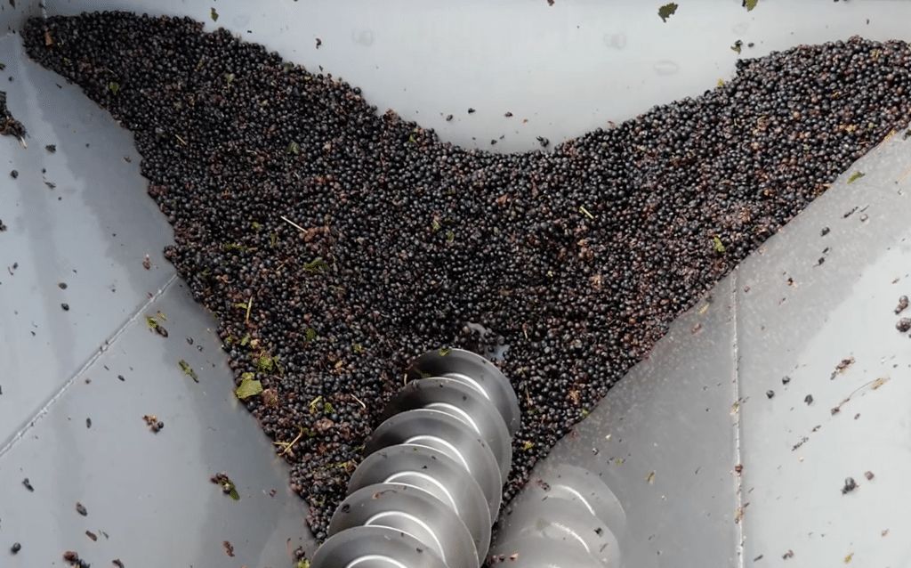 pressurage vin